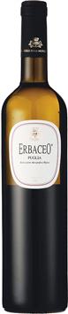 Erbàceo