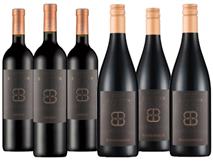 6er Newsletter-Angebot Birgit Braunsteins Blaufränkisch


