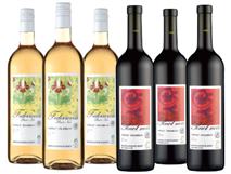 6er Newsletter-Angebot Turmgut



