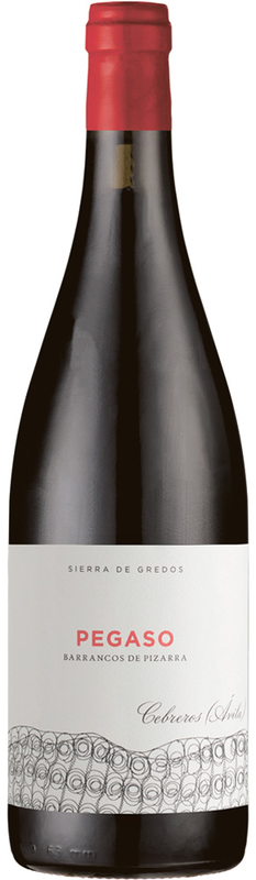 Pegaso Barrancos de Pizarra