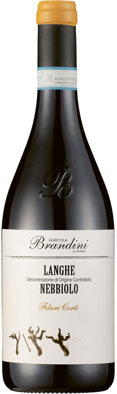 Langhe Nebbiolo Filari Corti