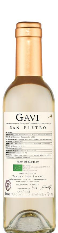 Gavi CHOPINE